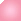 Rosa 8440