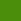 Verde/ Tartaruga /azul