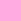 Rosa translúcido I664