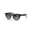 Ray-Ban Meta Skyler  RW4014