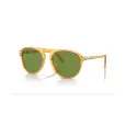 Persol SL PO3302S
