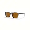 Ray-Ban Elliot SL RB2197 - 52 