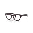 Ray-Ban Meta Skyler  RW4014