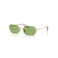 VOGUE SL VO4329S  - 55