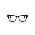 Ray-Ban Meta Skyler  RW4014
