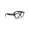 Ray-Ban Meta Skyler  RW4014