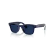 Ray-Ban Meta Wayfarer RW4012