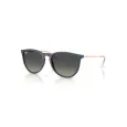 Ray-Ban Erika RB4171L