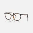 Ray-Ban RX RB7206