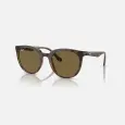 Ray-Ban RB4383L