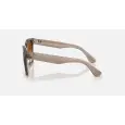 Ray-Ban SL RB4437L - 55