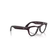 Ray-Ban Meta Skyler  RW4014