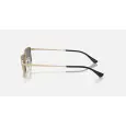 Ray-Ban Emy RB3741
