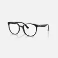 Ray-Ban RX RB7206