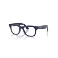 Ray-Ban Meta Wayfarer RW4012