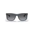 Ray-Ban Justin RB4165L TAM 55