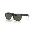 Ray-Ban Justin RB4165L TAM 55
