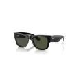Ray-Ban Mega Wayfarer RB0840S