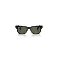Ray-Ban Meta Wayfarer RW4012