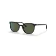 Ray-Ban Elliot SL RB2197 - 52 