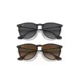 Ray-Ban Erika RB4171L