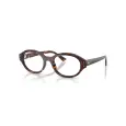Ray-Ban Shilo RC RB7257