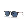 Ray-Ban Erika RB4171L