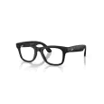 Ray-Ban Meta Wayfarer RW4012