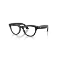 Ray-Ban Meta Skyler  RW4014