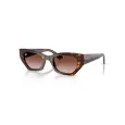 Ray-Ban Zena SL RB4430
