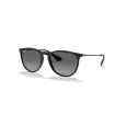 Ray-Ban Erika RB4171L
