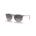 Ray-Ban Erika RB4171L