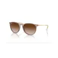 Ray-Ban Erika RB4171L