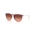 Ray-Ban Erika RB4171L