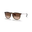 Ray-Ban Erika RB4171L