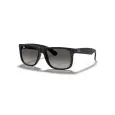 Ray-Ban Justin RB4165L