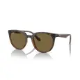 Ray-Ban RB4383L