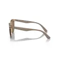 Ray-Ban RB4383L