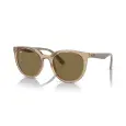 Ray-Ban RB4383L