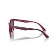 Ray-Ban RB4383L
