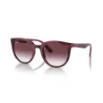 Ray-Ban RB4383L