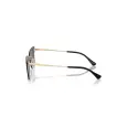 Ray-Ban Solar Xime RB3730