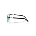 Tiffany & Co. RC TF2229